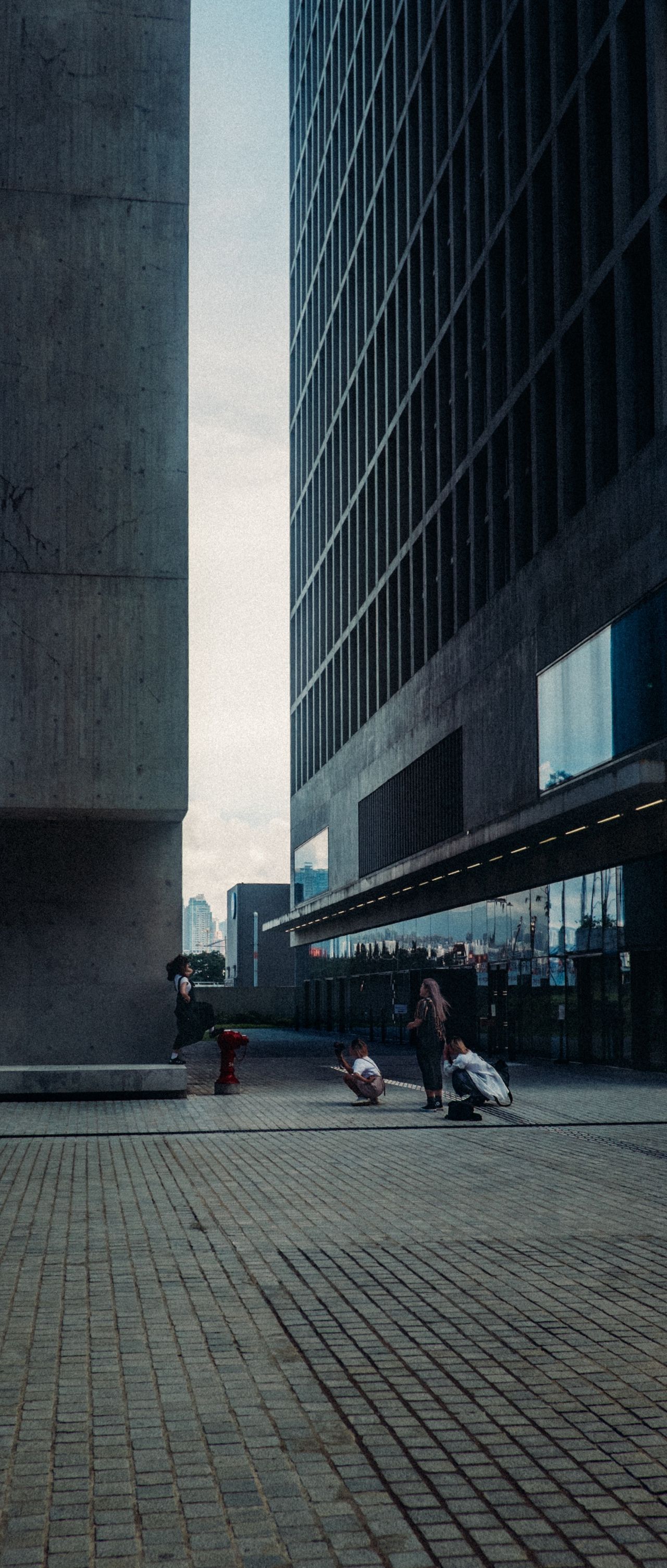 Scenes From The Street